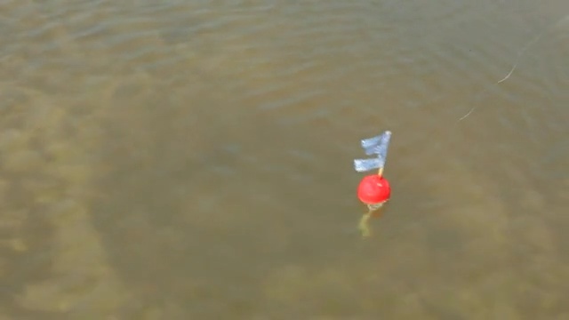 Video Reference: Water