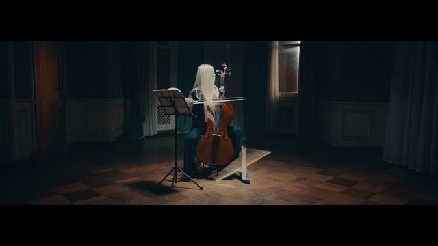 Video Reference: String instrument, Double bass, Bowed string instrument, Cello, Violin family, Cellist, Musical instrument, String instrument, Musician, Music