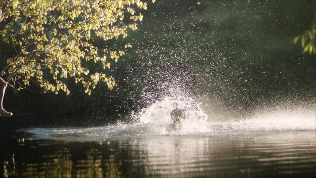 Video Reference: water, nature, water resources, river, reflection, waterway, tree, water feature, sunlight, sky