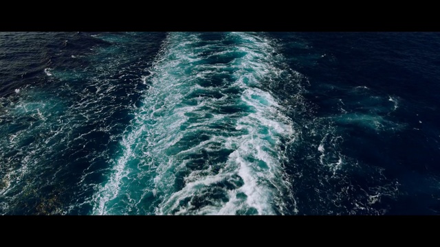 Video Reference: Water, Nature, Sea, Ocean, Wave, Wind wave, Turquoise, Organism, Marine biology, Photography