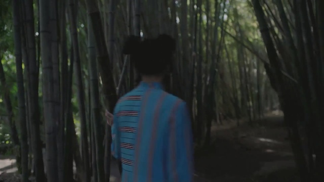 Video Reference: Nature, Green, Forest, Photograph, Natural environment, Tree, Woodland, Blue, Light, Jungle