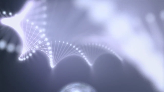 Video Reference: atmosphere, macro photography, close up, light, sky, computer wallpaper, water, darkness, stock photography, energy