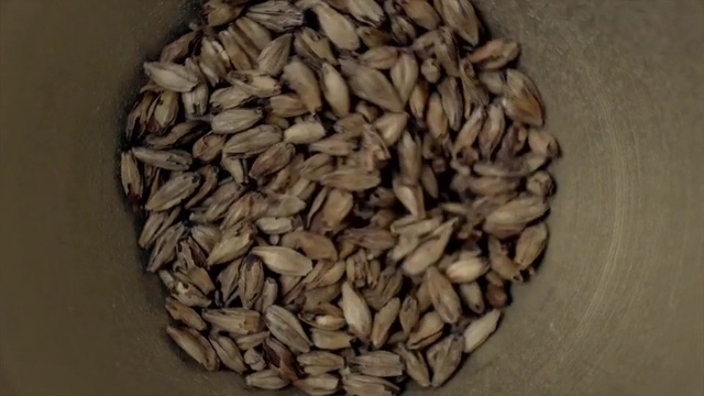 Video Reference: Sunflower seed, Food, Seed, Nuts & seeds, Egusi, Cuisine, Vegetarian food, Ingredient, Barley, Plant, Person