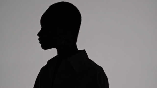 Video Reference: Black, Silhouette, Standing, Black-and-white, Shadow, Shoulder, Neck, Photography, Backlighting, Monochrome, Person, Man, Looking, Front, Holding, Bird, Watching, Staring, Dark, Video, Sitting, Kite, Light, Hand, Young, Flying, Playing, Large, Shirt, Woman, Sign, Remote, Game, White, Distance