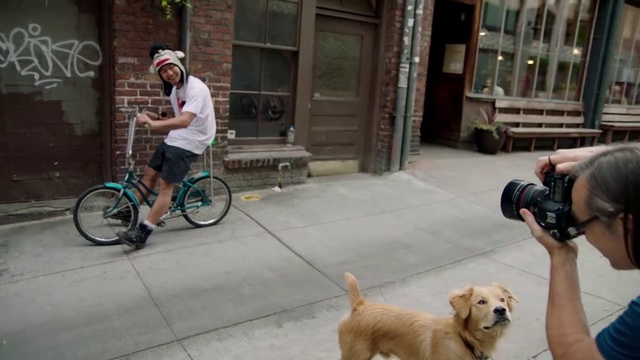 Video Reference: Dog, Canidae, Vehicle, Bicycle, Dog breed, Bicycle accessory, Sporting Group, Cycling, Recreation, Companion dog