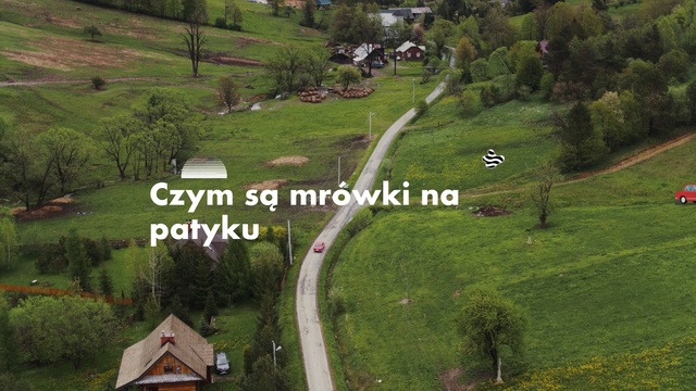 Video Reference: Natural landscape, Land lot, Aerial photography, Hill station, Rural area, Landscape, Photography, Tree, Highland, Grassland, Grass, Outdoor, Field, Grassy, Lush, Green, Sign, Track, Park, Path, Road, Train, Country, Man, View, Driving, Hill, Sheep, Side, Street, Red, Traveling, Standing, Riding, Bench, Grazing, Parked, White, Horse, People, Herd, Plant, House, Text, Screenshot, Way, Hillside