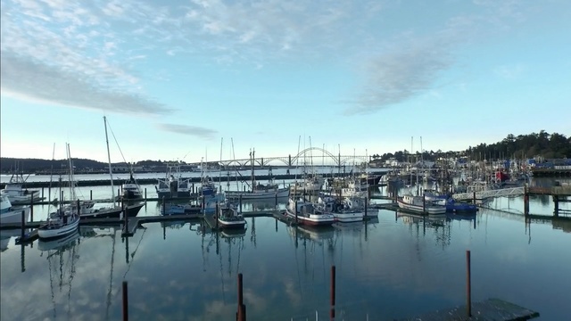 Video Reference: marina, harbor, water, sky, reflection, dock, waterway, port, boat, sea, Person