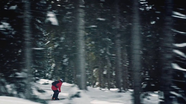 Video Reference: Snow, Winter, Tree, Freezing, Natural environment, Forest, Winter storm, Fun, Woody plant, Footwear