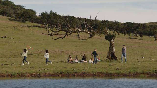 Video Reference: Water, Adaptation, Tree, Ecoregion, River, Grass, Plain, Bank, Coast, Recreation