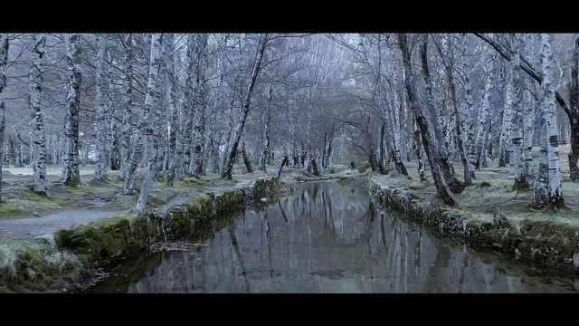 Video Reference: Natural landscape, Nature, Tree, Natural environment, Water, Forest, Reflection, Swamp, Bayou, Bank