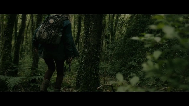 Video Reference: Nature, Woodland, Forest, Natural environment, Tree, Wilderness, Jungle, Wildlife, Old-growth forest, Organism, Person