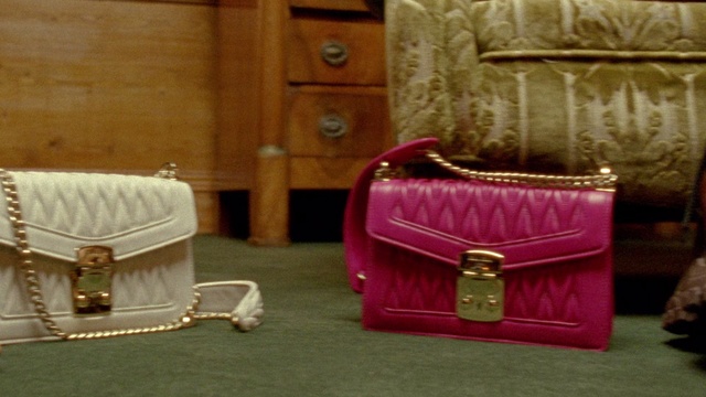 Video Reference: Pink, Bag, Magenta, Purple, Handbag, Fashion accessory, Material property, Coin purse, Leather, Room
