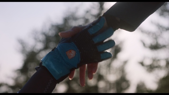 Video Reference: Tree, Branch