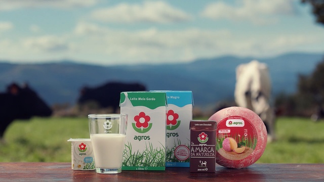 Video Reference: green, grass