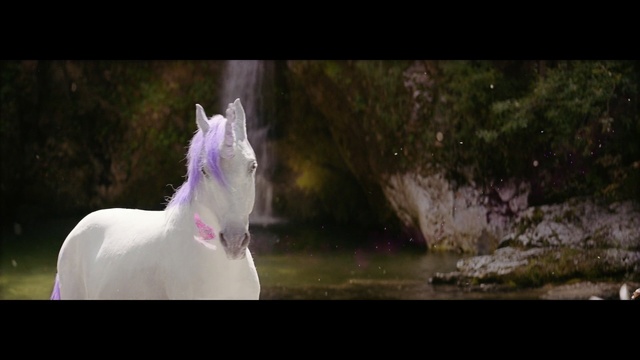 Video Reference: Horse, Unicorn, Mane, Fictional character, Mustang horse, Stallion, Mare, Photography, Wildlife, Mythical creature