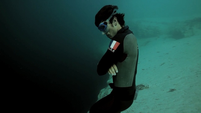 Video Reference: underwater diving, underwater, water, freediving, diving, recreation, scuba diving, sky, computer wallpaper, darkness