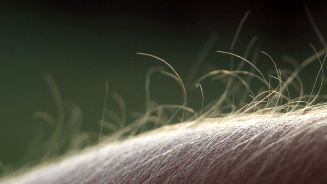 Video Reference: Green, Grass, Water, Grass, Close-up, Photography, Plant