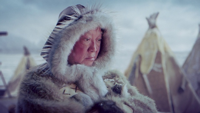 Video Reference: Fur, Fur clothing, Sky, Eye, Snout, Winter, Cloud, Fun, Mouth, Macaque