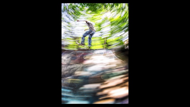 Video Reference: Nature, Light, Tree, Natural environment, Sunlight, Water, Forest, Organism, Photography, Reflection