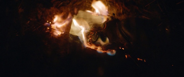 Video Reference: fire, flame, darkness, light, bonfire, night, atmosphere, lighting, heat, event, Person