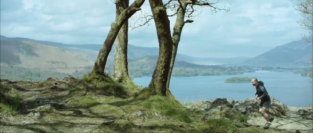 Video Reference: tree, wilderness, nature reserve, mountain, hill station, mount scenery, national park, hill, rock, lake