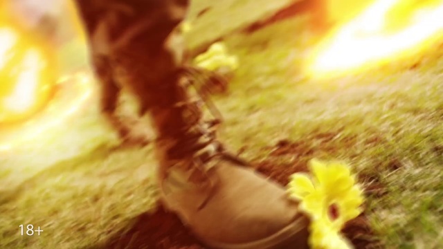 Video Reference: Nature, Yellow, Light, Sunlight, Leaf, Tree, Grass, Plant, Photography, Heat