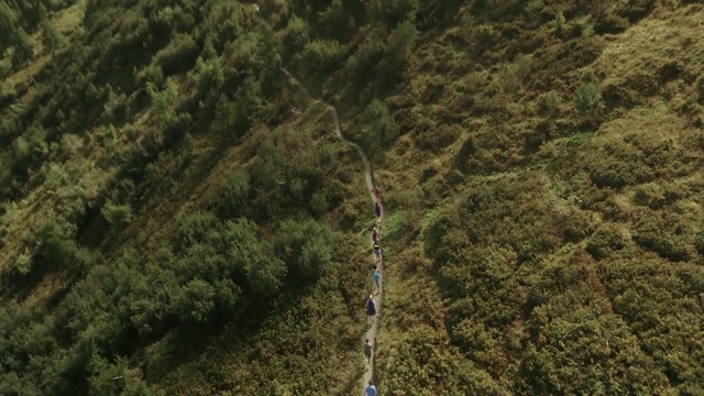 Video Reference: Vegetation, Aerial photography, Forest, Tree, Rainforest, Photography, Jungle, Plant, Geological phenomenon, Landscape