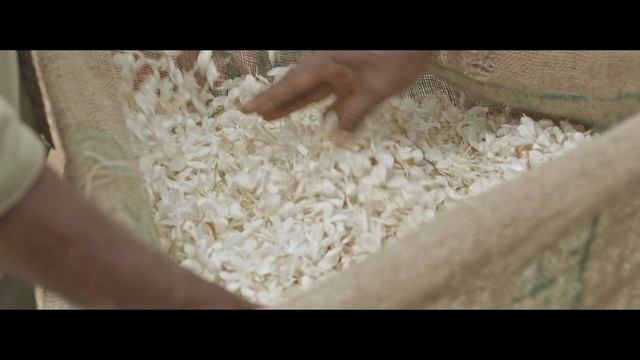 Video Reference: rice, food grain, commodity, popcorn, material, whole grain, straw, oat, Person