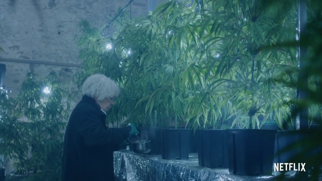 Video Reference: Organism, Tree, Adaptation, Plant