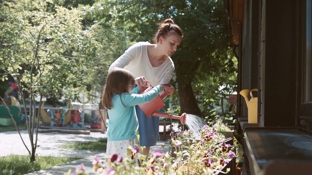 Video Reference: Floristry, Floral design, Flower, Flower Arranging, Botany, Plant, Garden, Spring, Bouquet, Shrub