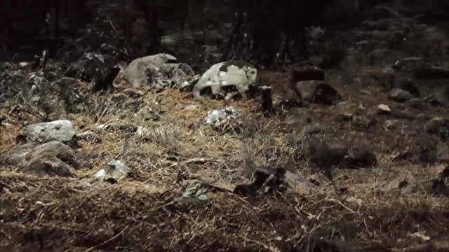 Video Reference: Soil, Adaptation, Organism, Terrestrial animal, Geology, Tortoise, Geological phenomenon, Wildlife, Rock