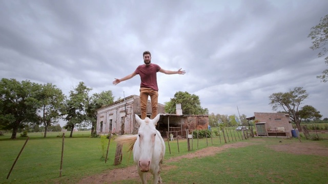 Video Reference: Fun, Person