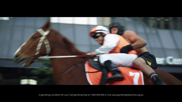 Video Reference: Horse, Halter, Bridle, Rein, Jockey, Animal sports, Mammal, Horse tack, Horse supplies, Horse harness