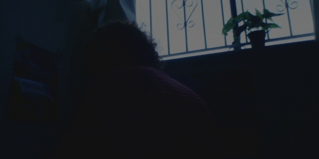 Video Reference: Black, Light, Darkness, Sky, Night, Tree, Cat, Room, Sporting Group, Window