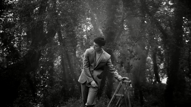 Video Reference: Photograph, Nature, Monochrome photography, Forest, Black, Black-and-white, Woodland, Natural environment, Tree, Standing, Person