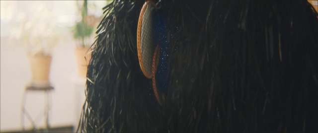 Video Reference: Hair, Close-up, Tire, Automotive tire, Long hair, Black hair, Ear, Eyelash, Person, Looking, Holding, Woman, Sitting, Yellow, Bird, Black, Close, Standing, Glass, Table, Phone, Wearing, Mouth, Food, Large, Water, Red, Mirror, Eating, Room, Cat, White, Kitchen, Street, Rain, Blue, Umbrella, Aquarium