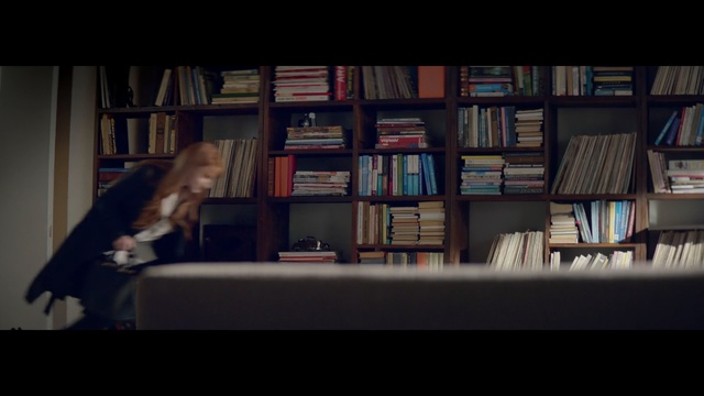 Video Reference: mammal, library, snapshot, bookselling, book, darkness, home, furniture, screenshot, bookcase