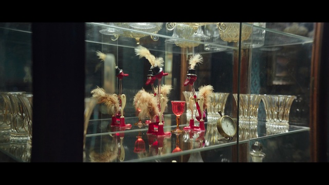 Video Reference: Display window, Display case, Snapshot, Retail, Organism, Glass, Window, Art