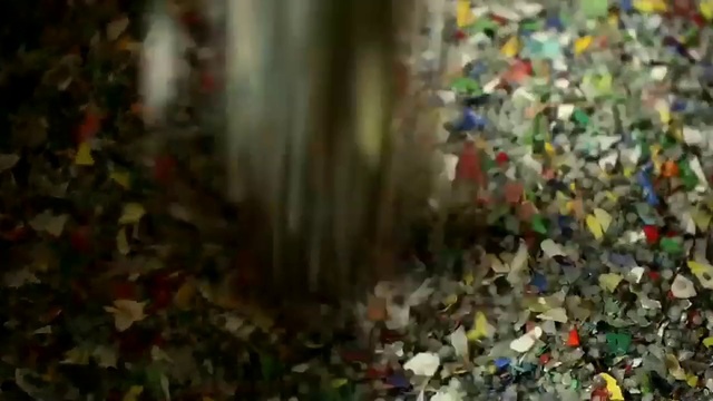 Video Reference: Nature, Leaf, Waste, Tree, Crowd, Autumn, Art