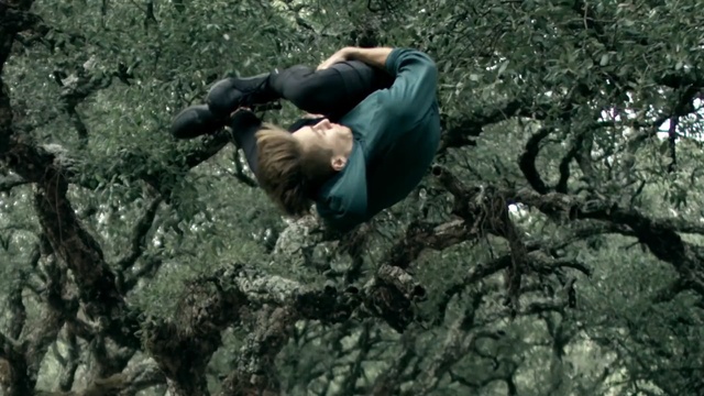 Video Reference: Adventure, Bouldering, Natural environment, Tree, Jungle, Wilderness, Rock climbing, Extreme sport, Forest, Geology
