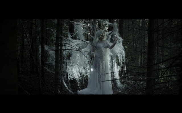 Video Reference: black, nature, black and white, darkness, forest, tree, screenshot, monochrome photography, atmosphere, woodland