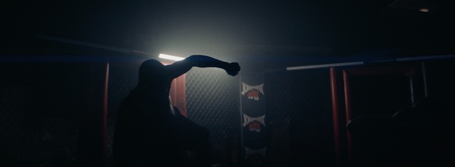 Video Reference: darkness, light, entertainment, event, night, performance art, lighting, performance, stage, performing arts, Person