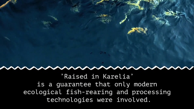 Video Reference: Text, Organism, Water, Adaptation, Font, World