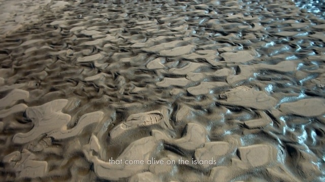 Video Reference: Sand, Rock, Close-up, Mud, Pattern, Geology, Landscape, Soil, Mudflat, Terrain