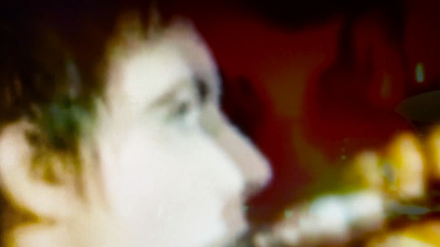 Video Reference: yellow, nose, close up, eye, leaf, macro photography, mouth, petal, flower, plant