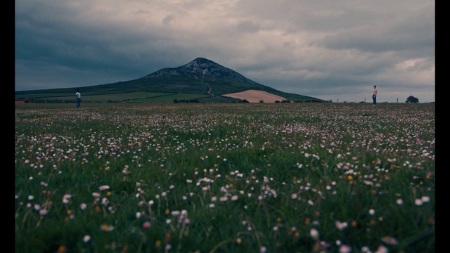 Video Reference: Nature, Grassland, Field, Sky, Meadow, Natural environment, Wildflower, Flower, Natural landscape, Hill