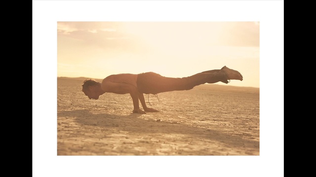 Video Reference: Camel, Camelid, Arabian camel, Desert, Landscape, Ecoregion, Sky, Wildlife, Stock photography, Adaptation