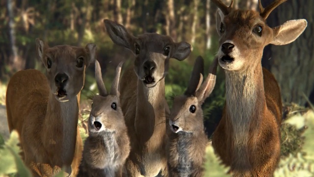 Video Reference: Mammal, Vertebrate, Terrestrial animal, Wildlife, Deer, Roe deer, Snout, Adaptation, Musk deer, Organism