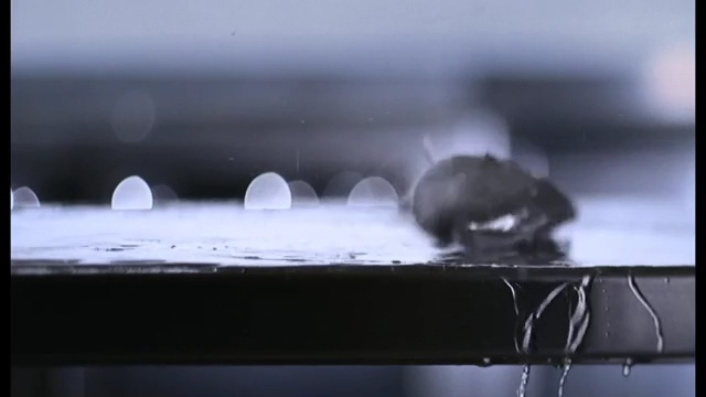 Video Reference: Water, Sky, Drop, Photography, Still life photography, Black-and-white