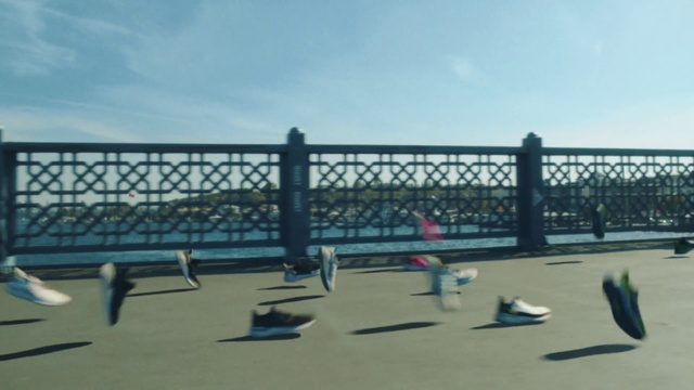 Video Reference: Guard rail, Iron, Fence, Metal, Pier, Bridge, Walkway, Roof, Sport venue, Nonbuilding structure